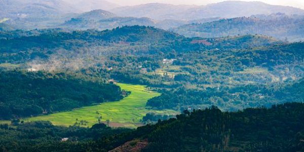 coorg